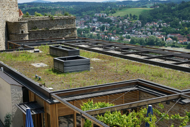 istock Roofing with is overgrown with moss and other plants 1252740387
