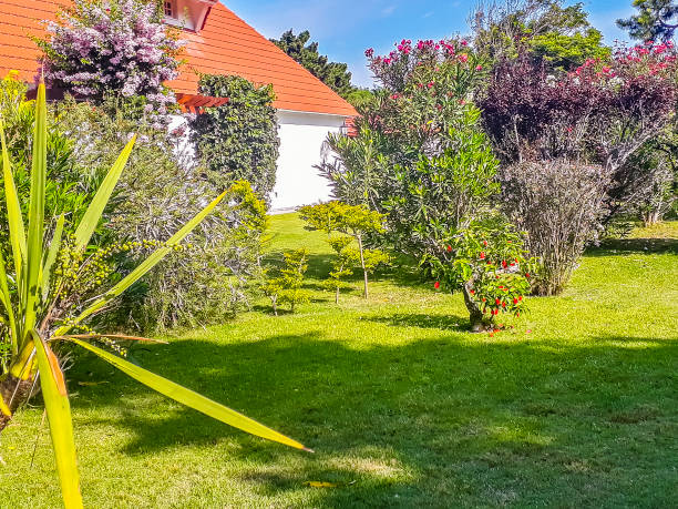 istock Country Style House, Punta del Este, Uruguay 1252744411