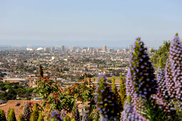 A panoramic city view of Long Beach, California from on top of Signal Hill on a day when the fog has cleared all he way to the ocean. Signal Hill view over the city of Long Beach, California from a hill top viewpoint all the way to the Long Beach harbor in the Pacific Ocean. long beach california photos stock pictures, royalty-free photos & images