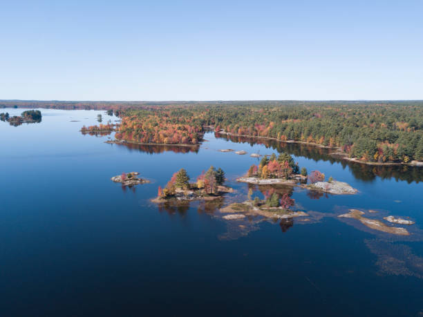 istock Foliage colours in Ontario 1252745623