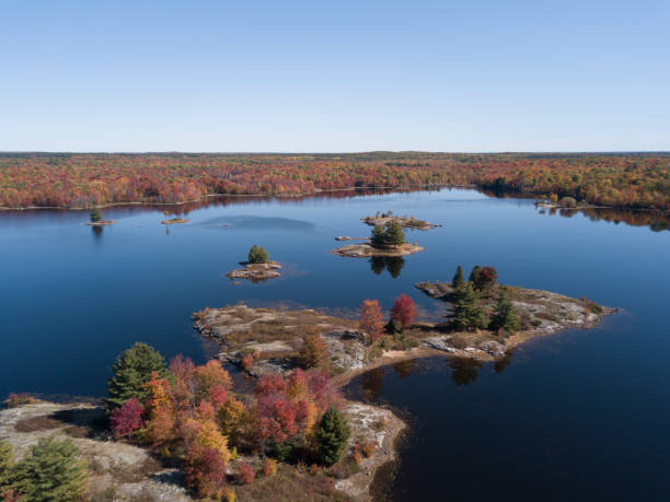 istock Foliage colours in Ontario 1252745638