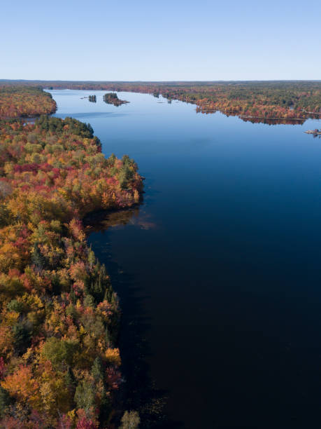 istock Foliage colours in Ontario 1252745644