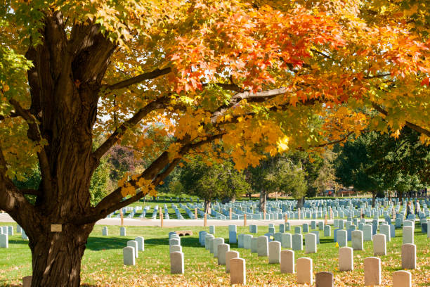 arlington - arlington national cemetery arlington virginia cemetery national landmark imagens e fotografias de stock