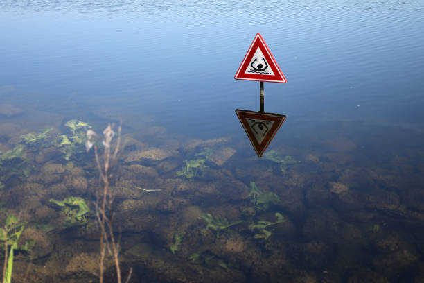 istock No swimming sign in pond 1252751238