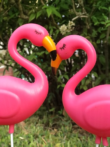Close up of pink plastic flamingo garden statues