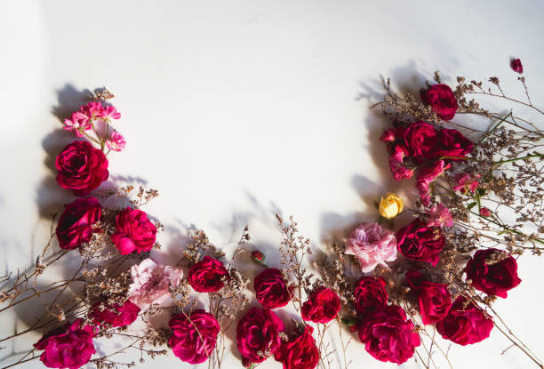 istock Flowers composition. Rose flowers on white background. Flat lay, top view 1252756326