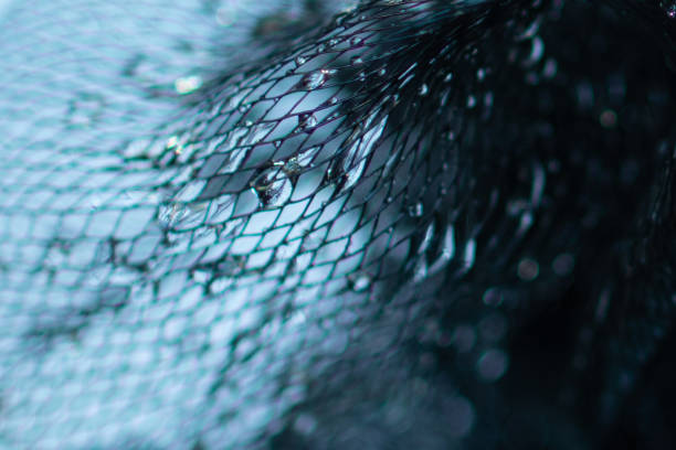 istock Water drops on a black net background dark blue veil 1252758204