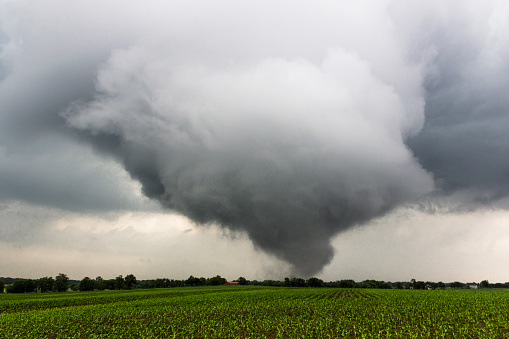 A tornado touches down in a farm field outside of Wamego, Kansas.