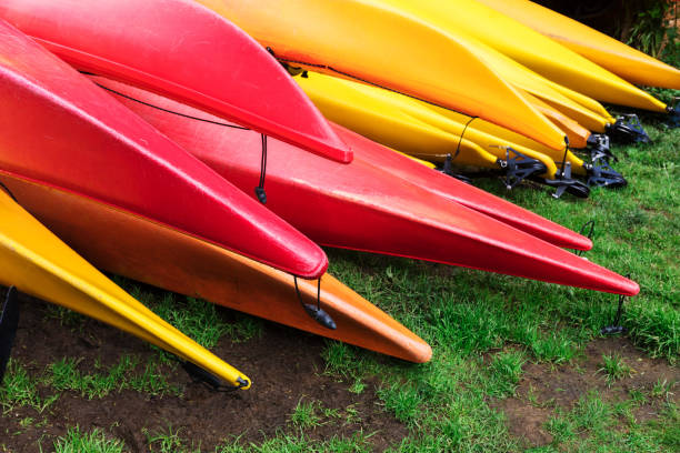 istock kayaks lie on the green lawn 1252758921