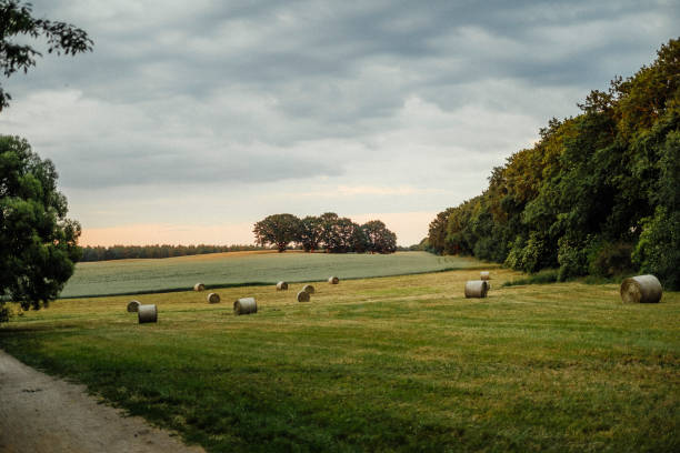 Green fields in Alt-Lübars, Germany