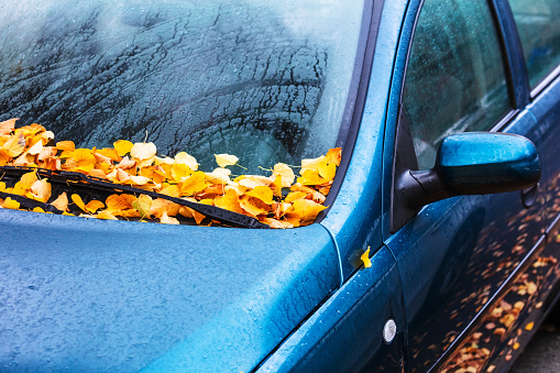 Urban autumn landscape. Car covered with autumn leaves.