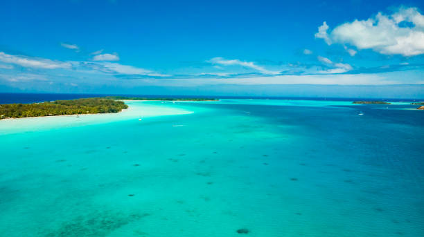 istock aerial view of tropical island 1252759263