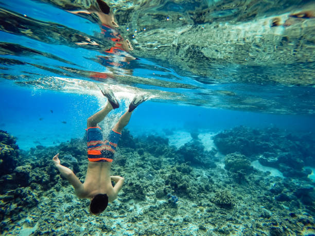 istock man snorkeling in the sea. underwater 1252759273