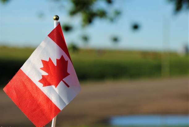 bandeira vermelha e branca da folha de bordo canadense perto de uma estrada rural - canada day fotos - fotografias e filmes do acervo