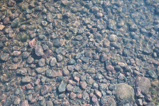 istock Stones beneath the clear water of a river. Top view. 1252767525