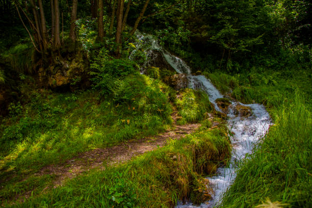 arroyo de montaña con camino - waterfall river stream mountain fotografías e imágenes de stock