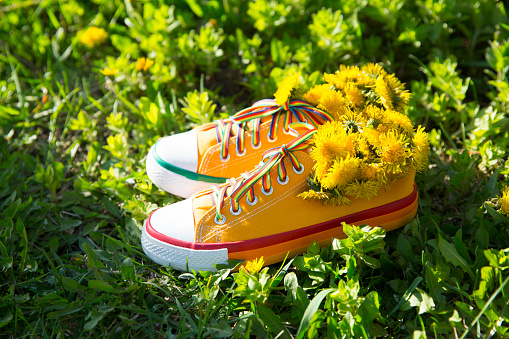 Yellow sneakers with flowers dandelions on a grass. exit from a quarantine. Hello summer. Summertime.