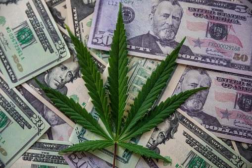 NOrcotic image concept. Cannabis leaf background. Dirty money mafia concept. Marijuana.
