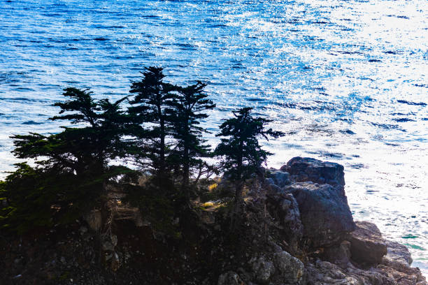 The Stunning California Coastline Is A Great Place To Explore