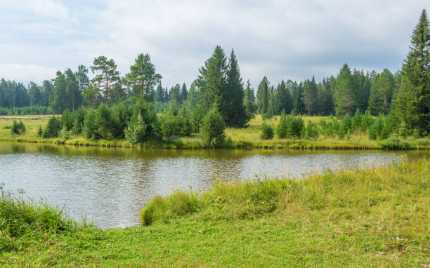 Deesbach dam in the Thuringian Forest