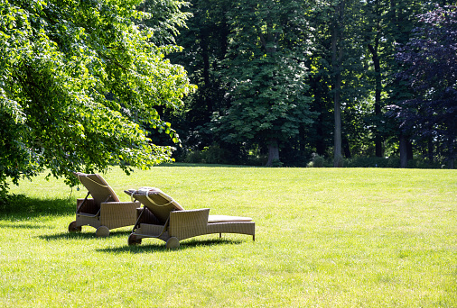 Comfortable sun lounge chairs to relax under an old tree on the lawn in a park on a sunny summer day, copy space, selected focus