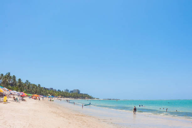 istock Idyllic turquoise beach landscape 1252794334