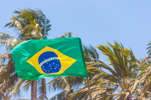 Brazilian flag waving in Copacabana, Rio de Janeiro, Brazil, on back a group of coconut palms trees with a deep blue sky in a summer sunny day.