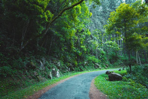 istock natural place in sri lanka 1252796964