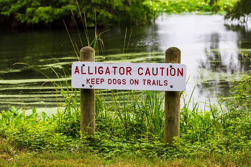 Alligator Caution sign warning visitors to keep pets safe