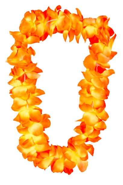 orange hawaiian lei beads with vibrant colors isolated on a white background orange hawaiian lei beads with vibrant colors isolated on a white background floral garland photos stock pictures, royalty-free photos & images