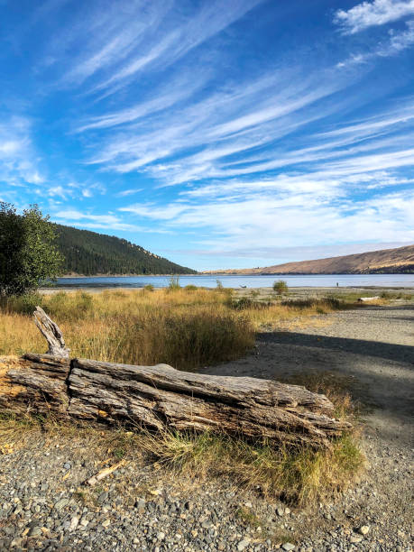 istock old logs and trees near Wallowa Lake in Eastern Oregon under wispy clouds 1252810914