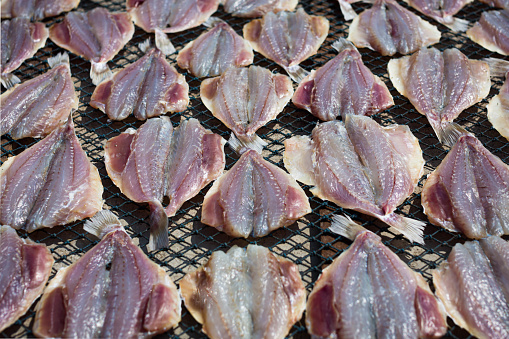 Display of flayed fish meat being dried out in the open sun