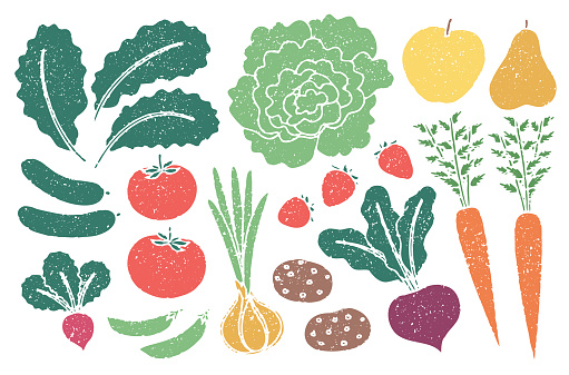 A set of fruits and vegetables in a retro style with a printmaking effect. Kale, lettuce, onion, cucumber, tomato, radish, green snap pea, apple, pear, carrot, strawberry, potato, beetroot.