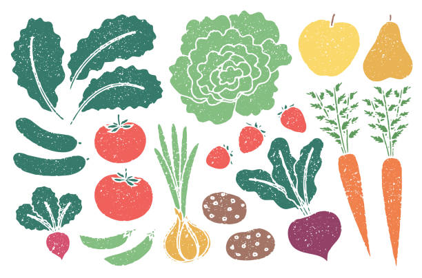 Grunge farm produce set with grain texture A set of fruits and vegetables in a retro style with a printmaking effect. Kale, lettuce, onion, cucumber, tomato, radish, green snap pea, apple, pear, carrot, strawberry, potato, beetroot. vegetable stock illustrations