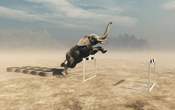 istock Elephant in front of training tire . Get fit and weight loss concept . This is a 3d render illustration . 1252822407
