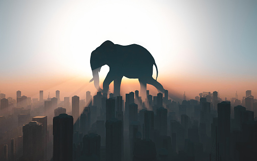 Silhouette of a big elephant walking in front of a city during sunset. This is a 3d render illustration .
