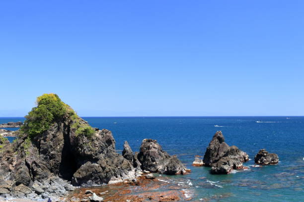 istock Goshikinohama Isakanohana(Kochi Prefecture, Tosa City) 1252829695