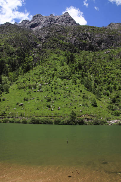 istock Valley under snowy mountains in summer 1252829825