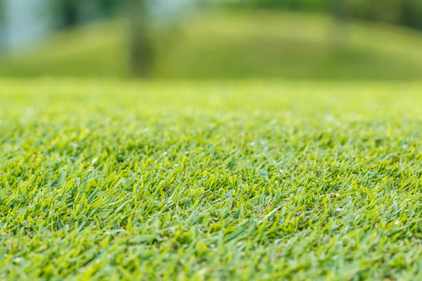 istock Golf course in the countryside. 1252836539