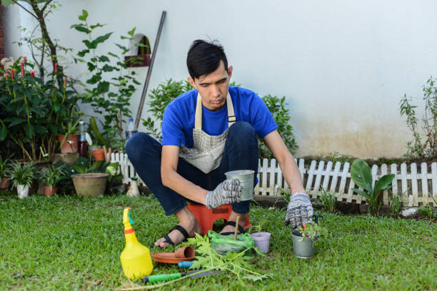 istock Asian young man working in an urban garden 1252837395