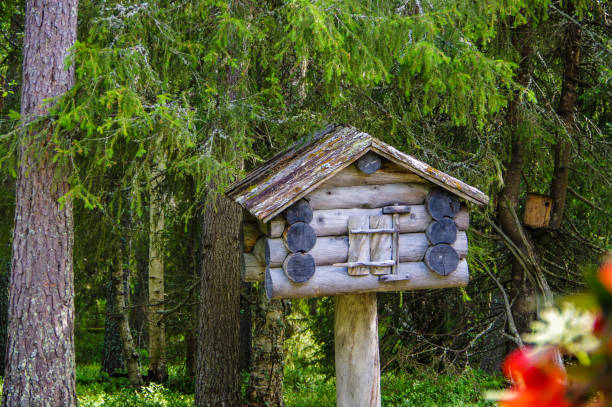 istock Handmade wood log cabin birdhouse in forest 1252837457