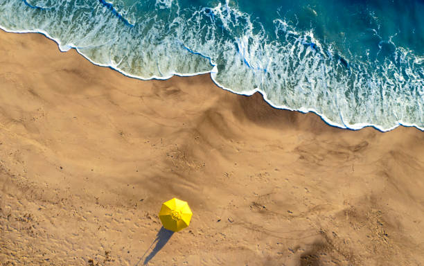 Beach umbrella on the beach. Social distancing concept.