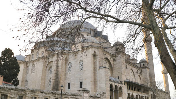 istock Blue Mosque Sultan Ahmet in Istanbul, Turkey 1252843015