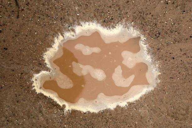 istock Details of brown puddle after rain 1252843946