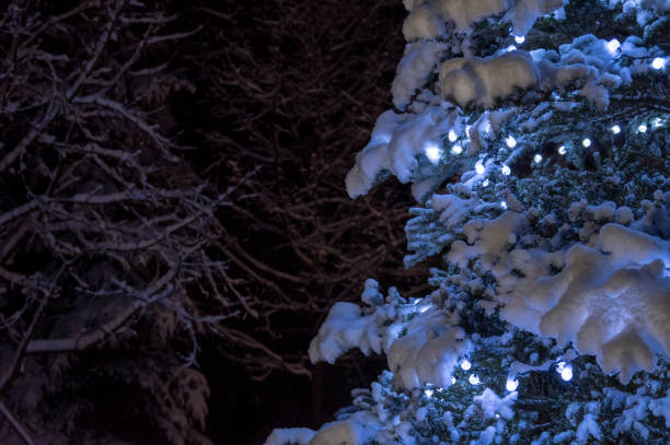 istock Christmas tree with bright festive blue lights in winter night forest. 1252846177