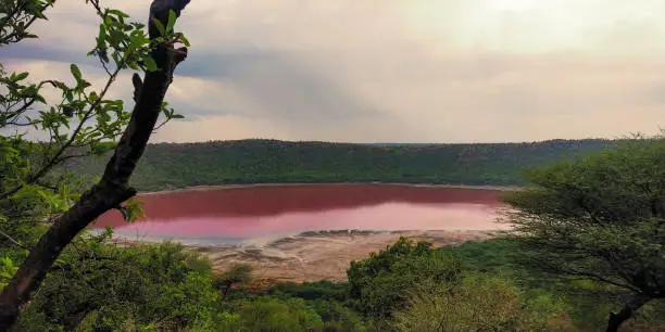 Photo of Lonar lake in Buldhana turns pink, Lonar Lake was created by meteorite impact that occurred around 50,000 years ago