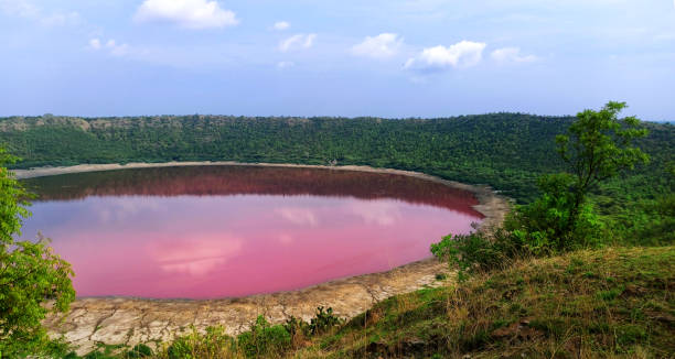 il lago lonar a buldhana diventa rosa, il lago lonar è stato creato dall'impatto del meteorite che si è verificato circa 50.000 anni fa - maharashtra foto e immagini stock