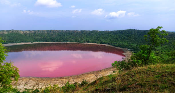 Lonar lake in Buldhana turns pink, Lonar Lake was created by meteorite impact that occurred around 50,000 years ago Lonar lake in Buldhana turns pink, Lonar Lake was created by meteorite impact that occurred around 50,000 years ago meteor crater photos stock pictures, royalty-free photos & images
