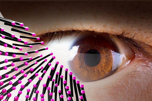 Two eyes on flat surface looking to their left side.