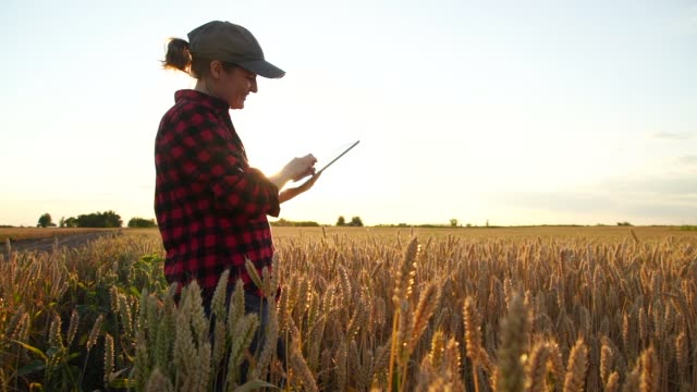 Farmer stands with digital tablet
